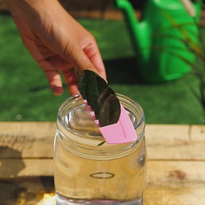 348K views · 1.2K reactions | Less Work, More Green! Smart Gardening Hacks You’ll Love | Green Bean | Facebook