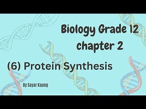 Grade 12 Biology ch 2 (protein synthesis) by Sayar Kaung