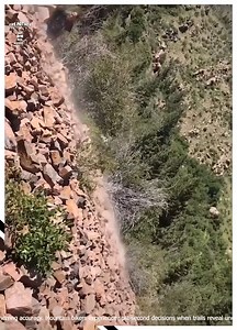 Stumbling Over Rocks😂⛰️ | Awesome World