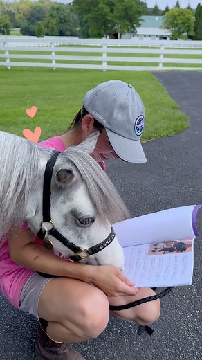 Mini Mail Monday! This Mini Mail was too sweet not to share! Thank you @fsd79 for all the letters and pictures! Hope & our whole herd felt the love! #maneinheaven #minitherapyhorses #kindness #inclusion #hope #grateful | Mane in Heaven Miniature Therapy Horses