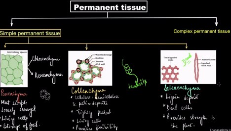 Worked example - Roster to Set builder form