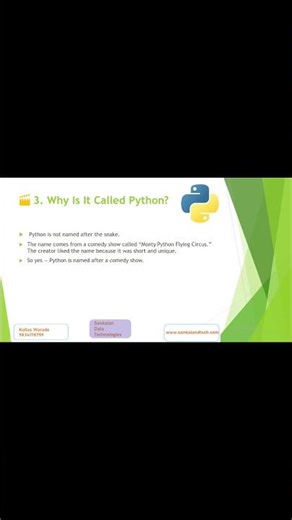 Why it called Python 0004