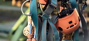 How to Choose Between Self-Retracting Devices and Energy-Absorbing Lanyards for Personal Fall Arrest Systems -- Occupational Health & Safety