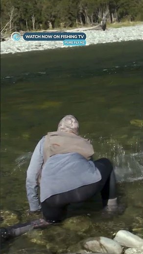 NZ literally has too many big trout! - ‘Pure Fly NZ’ on Fishing TV