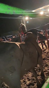 El centenario Vs El Andariego Gran Rodeo Baile en La Laguna Municipio de Coatepec Veracruz.🐂💥 | Rancho La Misión De Genaro Guerra