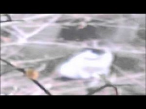 まんが日本昔ばなし BGM１ （音量注意）