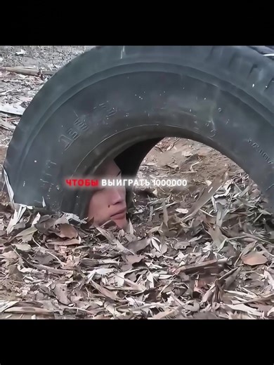 Insightful Movie Reviews from TikTok Film Competitions