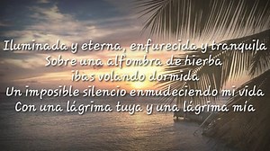 Ricardo Montaner Y Conjunto Primavera🎼🎶💖🙃Déjame Llorar❣️ | RODEO