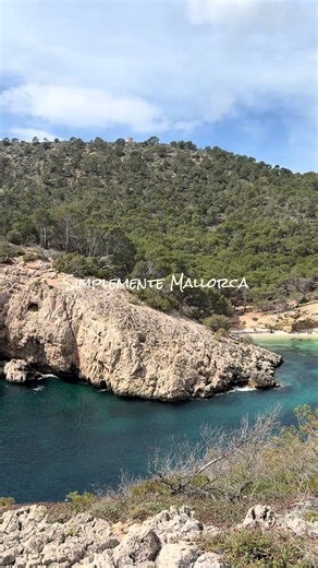 Mallorca: Top Places to Visit & Emigrate Guide