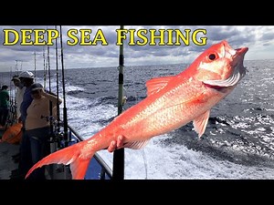 Myrtle Beach Deep Sea Fishing | Deep Sea Fishing In South Carolina USA | Fishing Tour Myrtle Beach