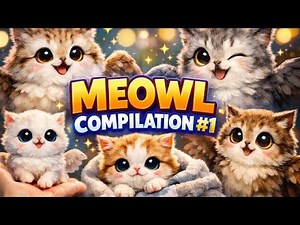 THE INTERNET’S CUTEST MEOWLS EVER 😳💗 | MEOWL COMPILATION #1