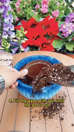 Bring color and joy to your space with the  Kalanchoe! With its vibrant blooms and easy-care nature, this plant is perfect for brightening up any room or gifting to loved ones.  #Kalanchoe #FloweringPlant #EasyCare #IndoorPlants #PlantLovers #plants #nature #flowers #plantsofinstagram #garden #plant #plantsmakepeoplehappy #gardening #houseplants #plantlover #green | Garden Nursery | Facebook