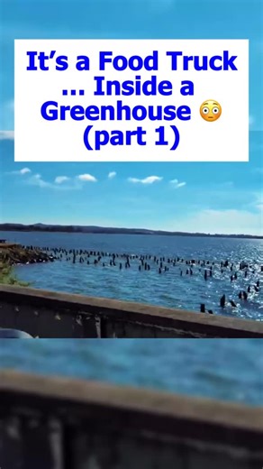“The Best Chowder in Oregon?! 😳” Ship Out Fish & Chips A greenhouse café serving legendary chowder — yes, really. The Best Chowder in Oregon? | Ship Out Fish & Chips Astoria Tucked inside a greenhouse on the Oregon Coast is a food truck called Ship Out Fish & Chips — and they serve the best chowder we’ve ever had. Period. 🍲 Between the plants, the art, and the smell of crispy fish in the air, this spot feels like the Oregon Coast in a bowl. 🎥 See our full Astoria foodie adventure → https://yo