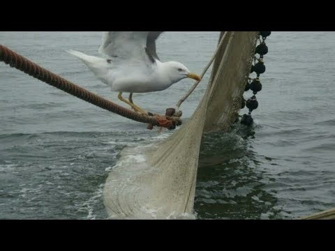 Best family?...best family ever. {Too powerful}