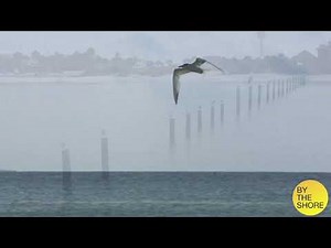 Beach Picture Slideshow -- VIC3001