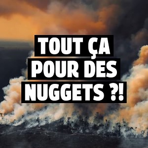 Vous vous demandez comment sont fabriqués les nuggets ? Voici la réponse en vidéo sur une musique d'Etienne de Crécy. Accrochez-vous 😳 ✊ Pour agir, vous pouvez bannir la viande industrielle de votre alimentation... Et signer notre pétition : https://www.greenpeace.fr/petition-deforestation/#signe 🎥 Vidéo produite par H5 🎬 Crédits vidéos, par ordre d'apparition : • Shutterstock • Pond5 • Istock • Getty • Atelier des Archives • Greenpeace | Greenpeace France