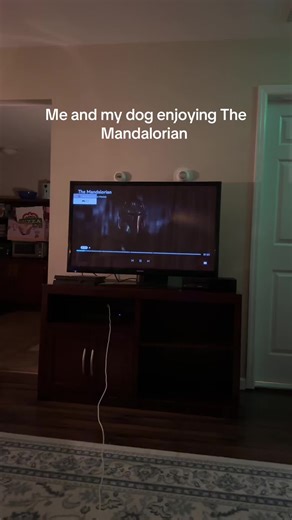 Chill dog fr #lego #legostarwars #starwars #legoucs #legoultimatecollectorseries