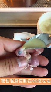 2M views · 2.8K reactions | The process of hatching eggs into chickens, the birth of life! | Ketflix Daily | Facebook