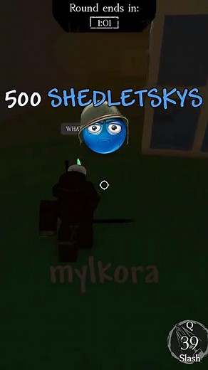500 SHEDLETSKYS