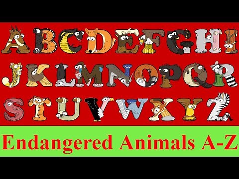 Endangered Animals for Kids | A-Z Animal Flashcards | Animal Alphabet | Learn ABC with Alphabetimals