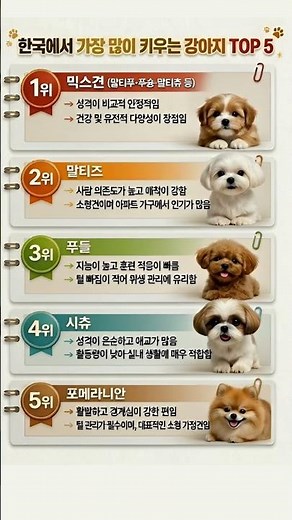 한국에서 가장 많이 키우는 강아지 TOP 5