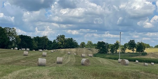 This year’s weather posing challenges for Ky. hay farmers