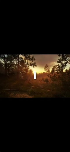 Exploring Te Awaroa: A Real Map Adventure