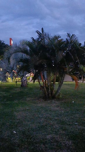 Por un día más que termina gracias padre 🙏 bendito seas por siempre 🙏 | Mati Lopez