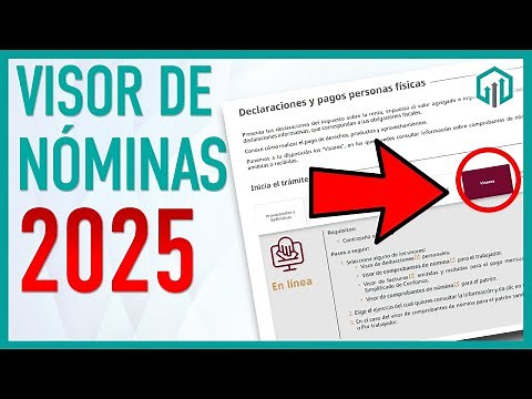 Payroll Viewer 2025 SAT annual declaration