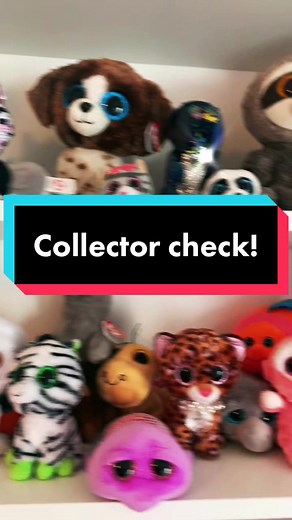Beanie boo collection check! #beanieboos #fyp #collection #beanieboos4life #beanieboosty