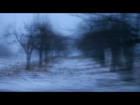 OPEN LINES: Paranormal, Cryptid, Alien Encounters Call-In Show [Livestream 446]