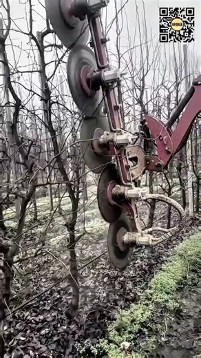 Orchard Pruning Saw Machine – Fast Tree Trimming in Action!