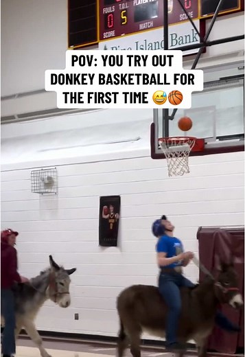 Experience Donkey Basketball: A Unique First Try