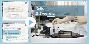 Careers in Science: Cells If I Were... PowerPoint