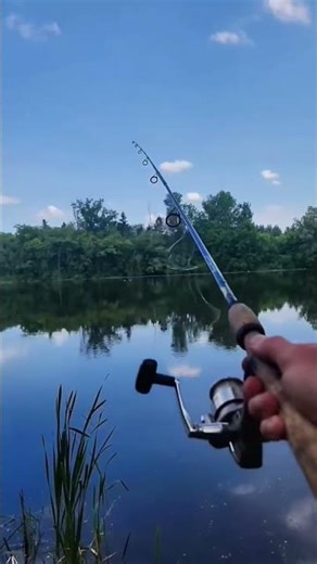 How I Set Up For Carp Fishing 🎣