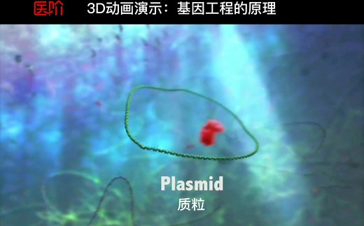 3D动画演示：基因工程的原理