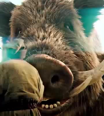 Adams Movies on Instagram: "Conan the Barbarian 1982 ‧ Action/Adventure ‧ 2h 9m Conan the Barbarian tells the brutal origin of Conan, a child who witnesses his parents’ murder and the destruction of his village by the cult of Thulsa Doom. Enslaved and forged into a warrior through years of hardship, Conan grows into a powerful fighter driven by vengeance. After earning his freedom, he becomes a wandering mercenary and thief, joined by companions Subotai and Valeria. Their adventures lead them in