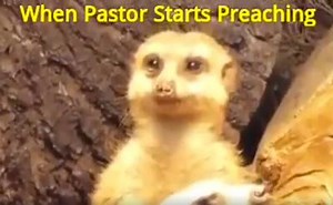 286K views · 1.6K reactions | Ok, let's be honest here. Has this ever happened to you in church? (or someone you know) | Christian Funny Pictures | Facebook