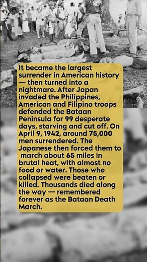 Bataan The Largest Surrender In American History #short #history #ww2