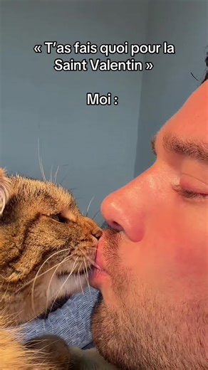 Unique Valentine's Day Ideas for Cat Lovers