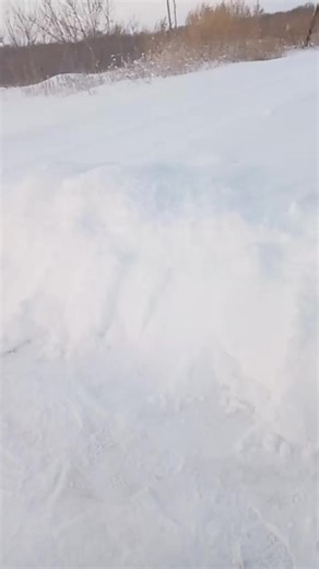 Exploring a Serene Winter Landscape in Snowy Fields