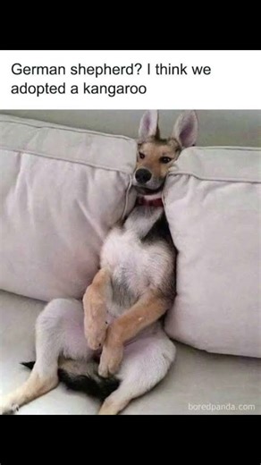 Intense beatboxing🥹