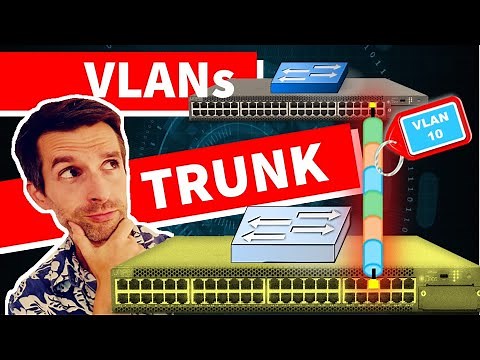 VLAN - Trunk Port Explanation - 802.1Q / Trunk Port