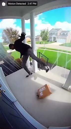 Doorbell Cam: Porch Pirate vs. Sprinkler System