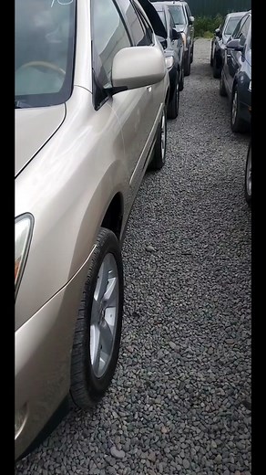 2005 Lexus RX 330 Review and Insights