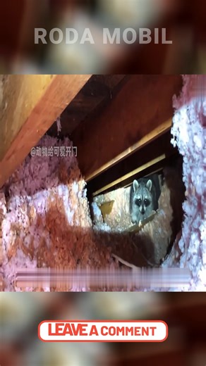 72K views · 357 reactions | #DIY #LifeHacks #CreativeIdeas #DIYProjects #Crafting #EasyDIY #TikTokDIY #HomeMade #Trending #Viral #ReelsViral #FYP #ReelsDIY #Inspiration #FacebookReels #ReelsTrend #Shorts | Roda Mobil | Facebook