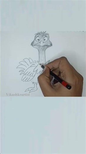 How To Draw Hen ( chicken) Full Sketch Tutorial #howtodraw #learntodraw #sketchtutorial #shorts