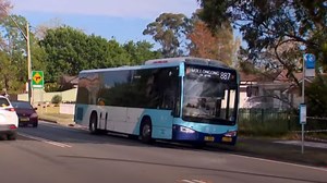 Teen critical after being hit by truck in Appin