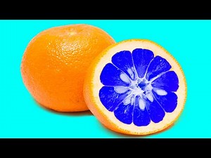 Patterns Inside Fruits and Vegetables Stop-Motion Animation 1000+ Cutting Inside Fruits ASMR