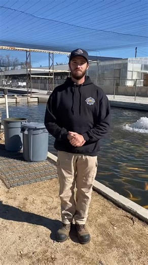 We are ready for TROUT SEASON🎣 Opener is November 1 & 2 with Steelhead Trout, Golden Rubies (aka lightning trout) and Rainbow Trout! #fishing #camping #fish #jessranch #troutseason2025 #steelhead #lightning | Santee Lakes